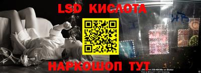 a pvp Краснознаменск