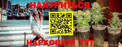 a pvp Краснознаменск