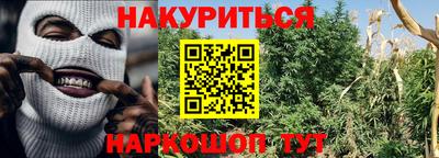 a pvp Краснознаменск