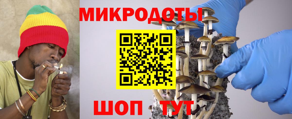 Галлюциногенные грибы прущие грибы  Вход с VPN  Касимов 